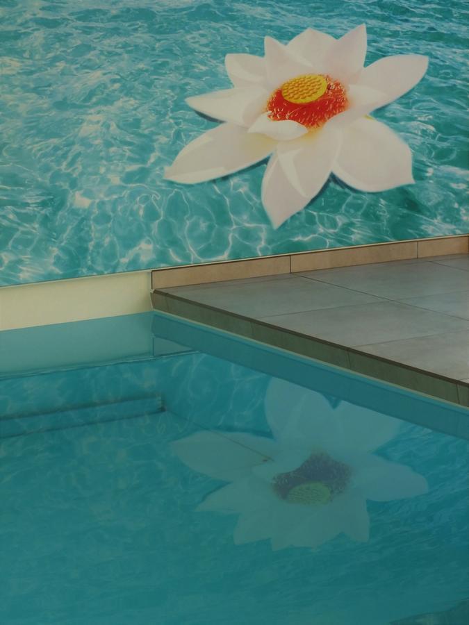 Vita Roka Met Extra Luxe Prive Wellness Ursel Exterior foto